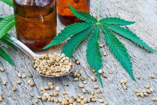 CBD pentru Animale de Companie: Beneficii și Recomandări de Dozare