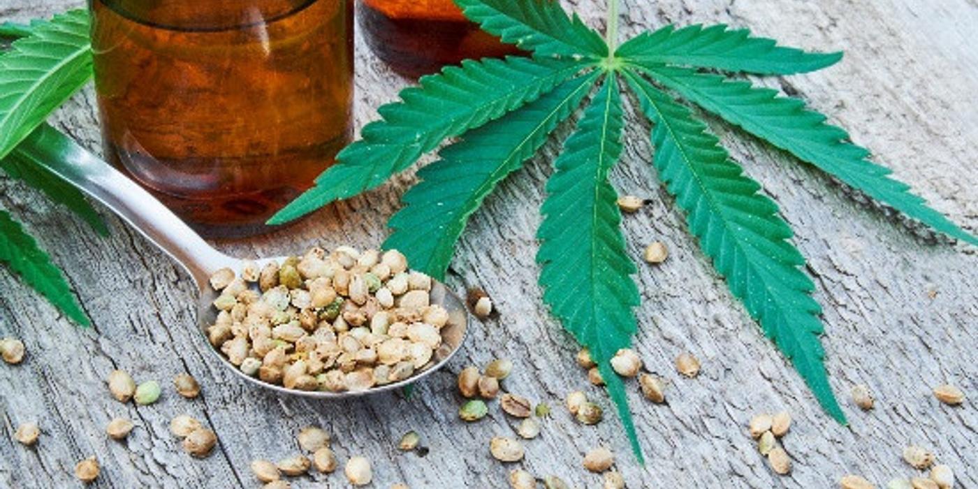 CBD pentru Animale de Companie: Beneficii și Recomandări de Dozare