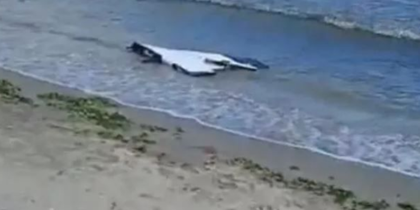 Alertă pe plaja din Corbu: Resturi de dronă neutralizate de geniștii Forțelor Navale. Ce au descoperit specialiștii MApN