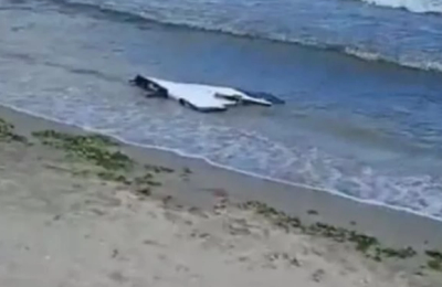 Alertă pe plaja din Corbu: Resturi de dronă neutralizate de geniștii Forțelor Navale. Ce au descoperit specialiștii MApN