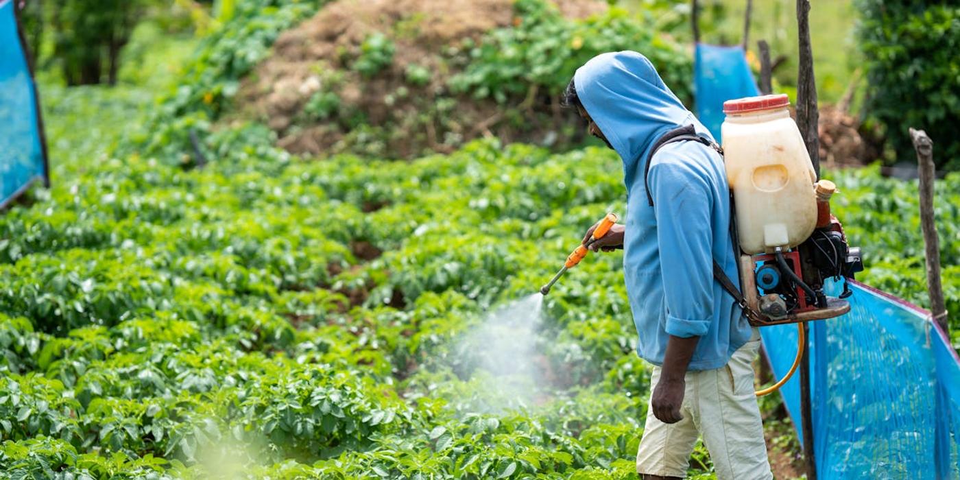 Siguranță, igienă și imagine impecabilă – rolul contractelor DDD pentru firmele din Cluj