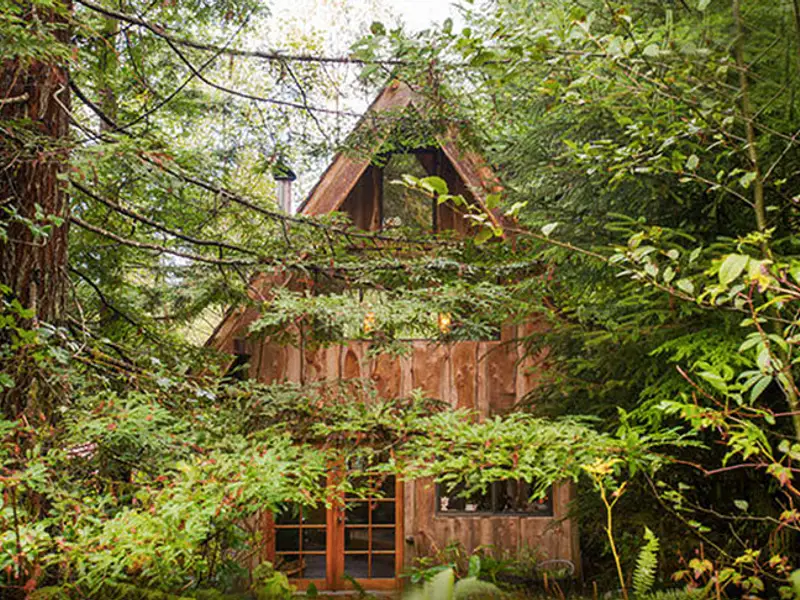 Casa construita in padure de un instructor de caiac cu resurse minime