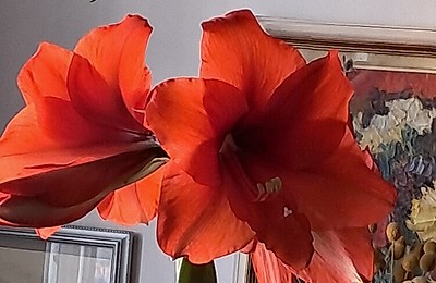 Decor floral de sărbătoare a primăverii