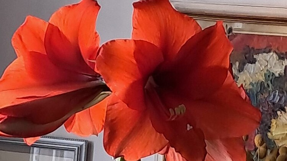 Decor floral de sărbătoare a primăverii