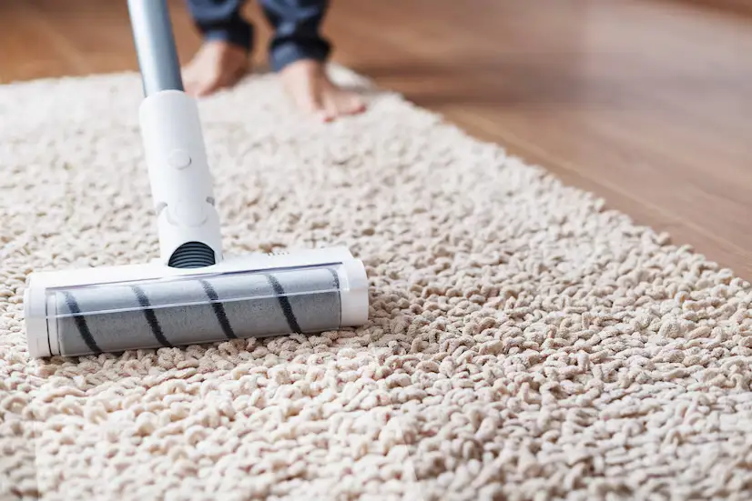 Efficient Solutions for Fast Carpet Cleaning