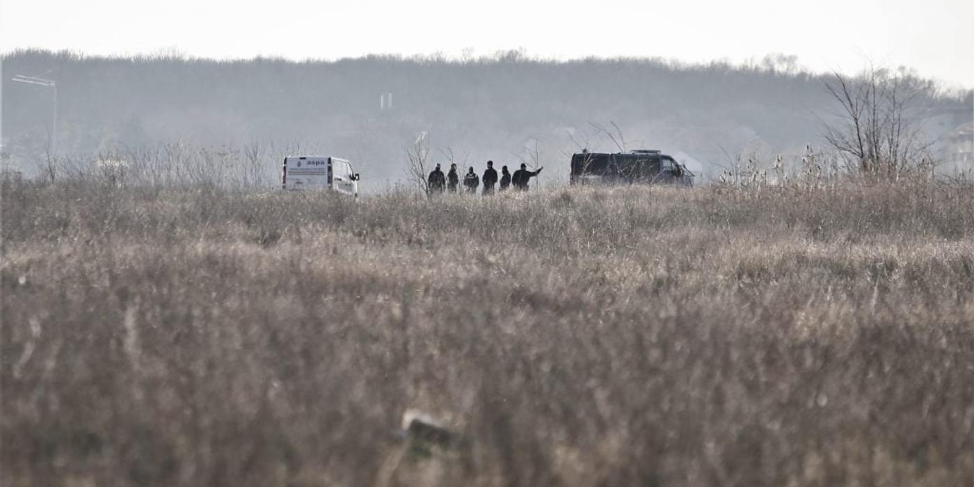 Femeie atacată de câini scăpați dintr-o curte, în zona Lacul Morii. ASPA spune că „proprietarul a fost identificat și amendat” cu 50 de lei