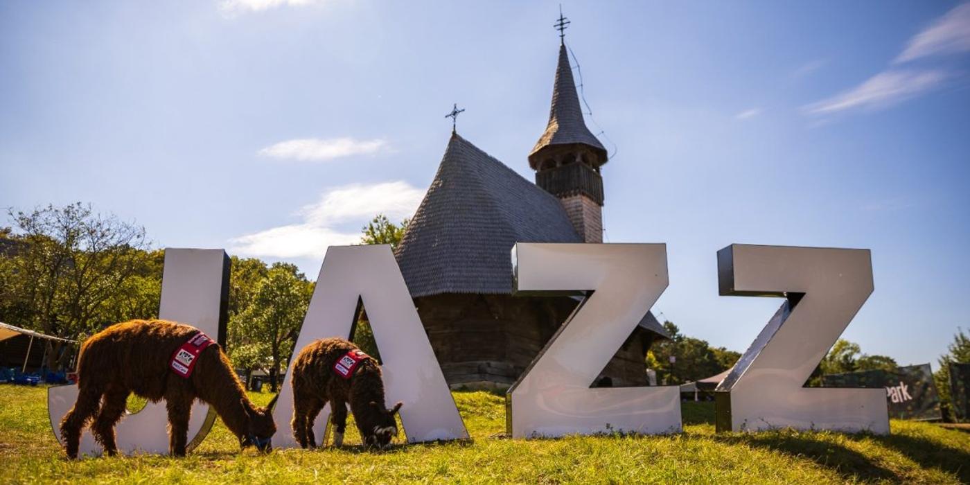 7000 de iubitori ai muzicii și două alpaca, în cea de-a doua zi a festivalului Jazz in the Park