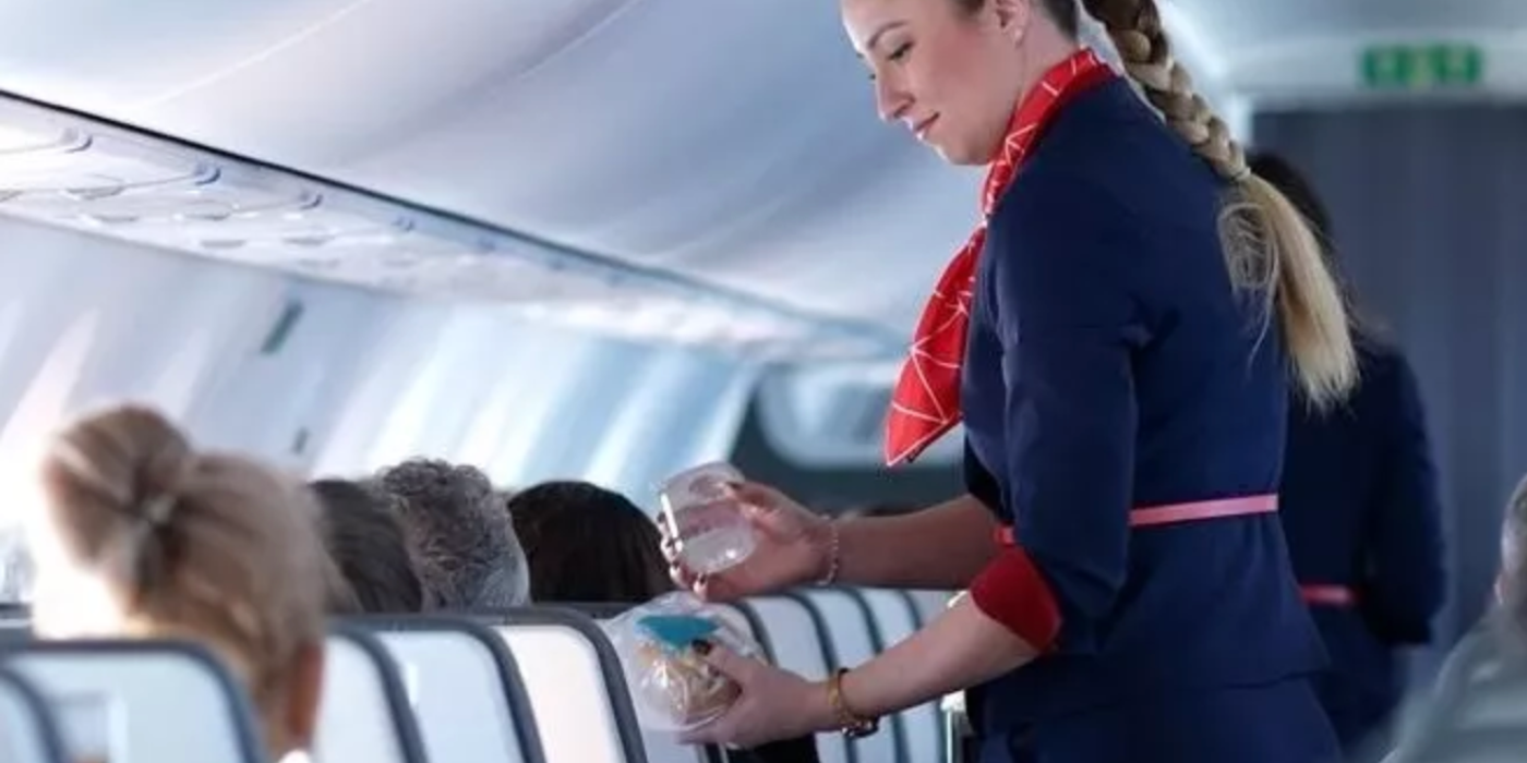 AnimaWings introduce meniu gratuit pentru toate zborurile interne