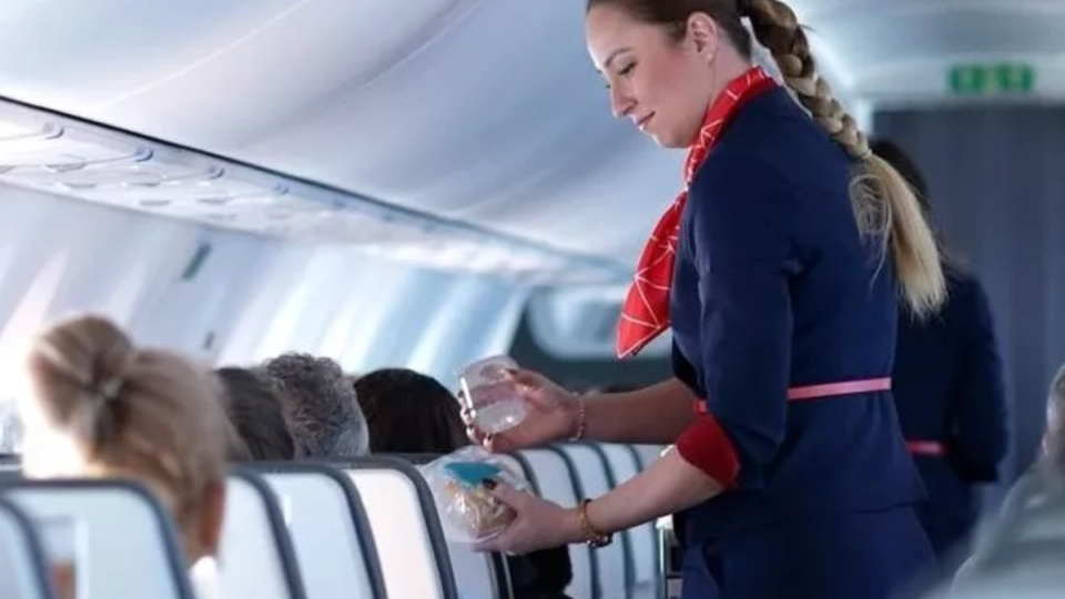 AnimaWings introduce meniu gratuit pentru toate zborurile interne