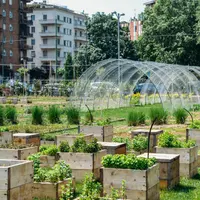 Urban farming: Cultivarea de legume și fructe în orașe
