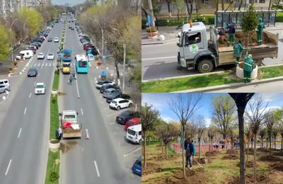 Bulevardul Constantin Brâncoveanu din București va deveni bulevardul magnoliilor, a anunțat Daniel Băluță, primarul Sectorului 4