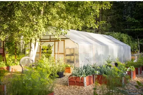 Tipuri de sere de primăvară într-o grădină