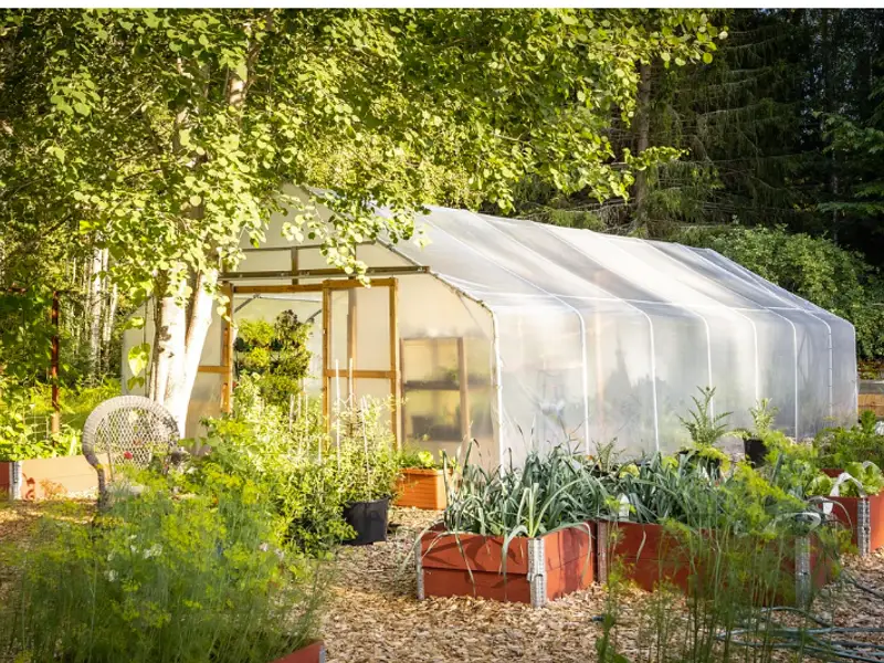 Tipuri de sere de primăvară într-o grădină