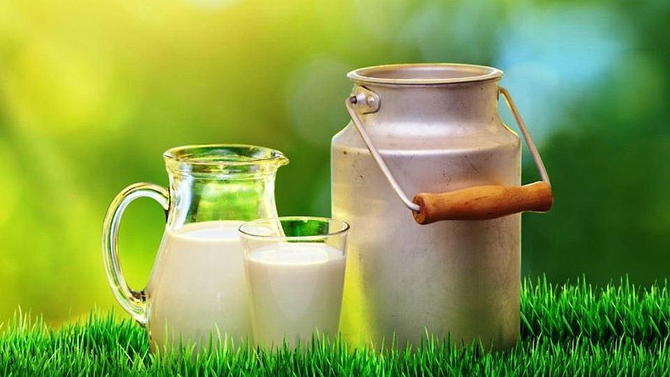 ANPC a amendat cu 2,6 milioane lei comercianţii de lapte şi produse lactate