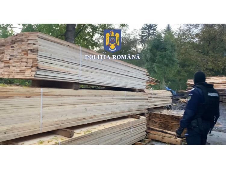 Percheziții domiciliare în județele Cluj și Bistrița-Năsăud, la persoane suspectate de infracțiuni la regimul silvic