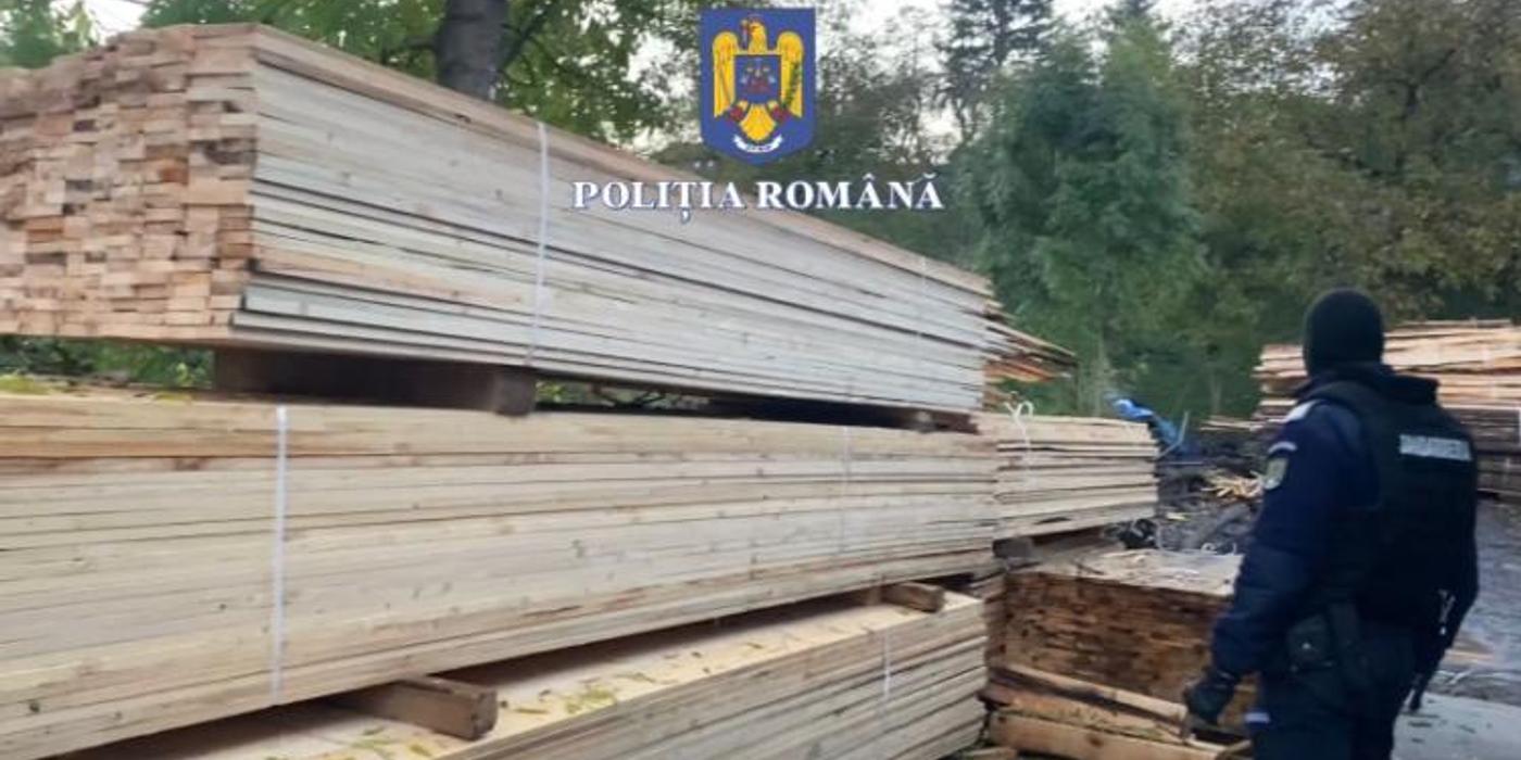 Percheziții domiciliare în județele Cluj și Bistrița-Năsăud, la persoane suspectate de infracțiuni la regimul silvic