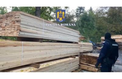 Percheziții domiciliare în județele Cluj și Bistrița-Năsăud, la persoane suspectate de infracțiuni la regimul silvic