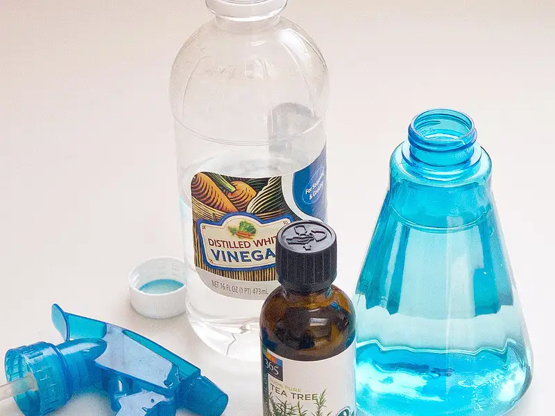 Cum sa indepartam mucegaiul in mod natural?