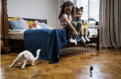 Choosing Home Decor When You Have a Mischievous Cat