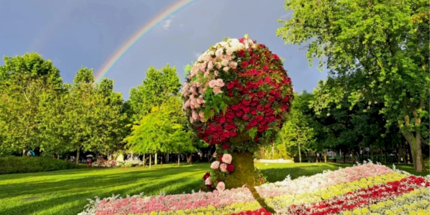 Explozia florală din Drumul Taberei: Ghidul tău de supraviețuire (și distracție) la West Side Flower Fest 2026