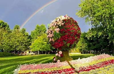 Explozia florală din Drumul Taberei: Ghidul tău de supraviețuire (și distracție) la West Side Flower Fest 2026