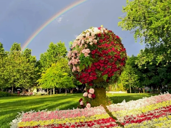 Explozia florală din Drumul Taberei: Ghidul tău de supraviețuire (și distracție) la West Side Flower Fest 2026