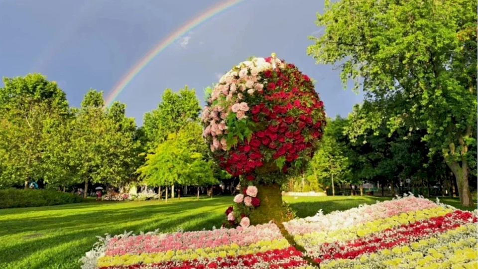 Explozia florală din Drumul Taberei: Ghidul tău de supraviețuire (și distracție) la West Side Flower Fest 2026