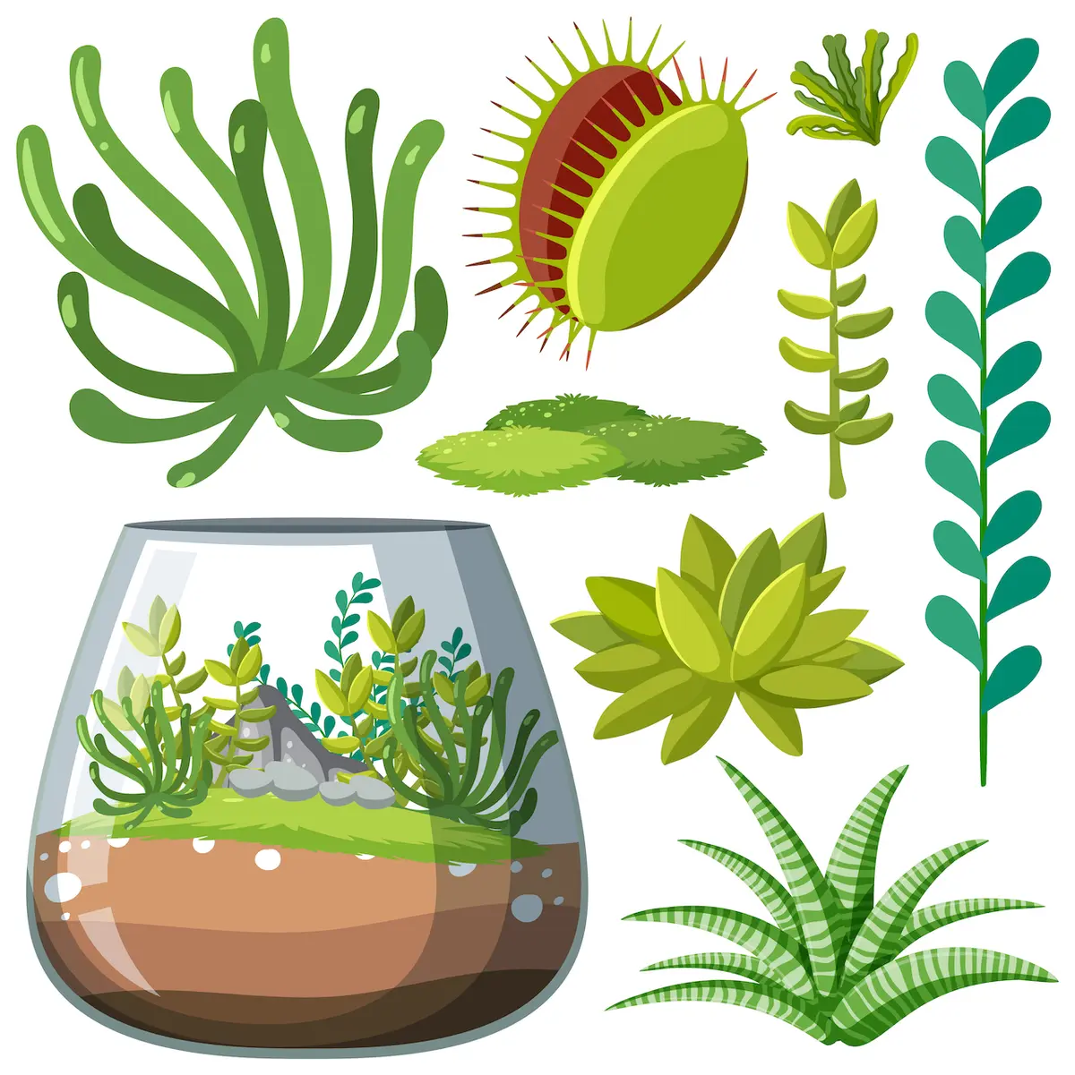 Cum să construiești un mini-ecosistem cu plante acvatice – Ghid pentru amenajarea unui mini-acvariu cu plante acvatice