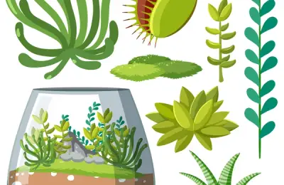 Building a Mini Aquatic Ecosystem: A Guide to Setting Up a Planted Mini Aquarium