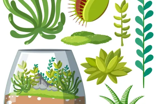 Cum să construiești un mini-ecosistem cu plante acvatice – Ghid pentru amenajarea unui mini-acvariu cu plante acvatice