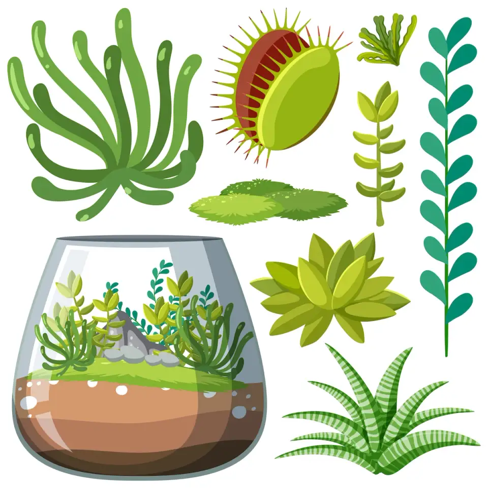 Building a Mini Aquatic Ecosystem: A Guide to Setting Up a Planted Mini Aquarium