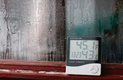 Effective Solutions for Quickly Eliminating High Humidity in Your Home