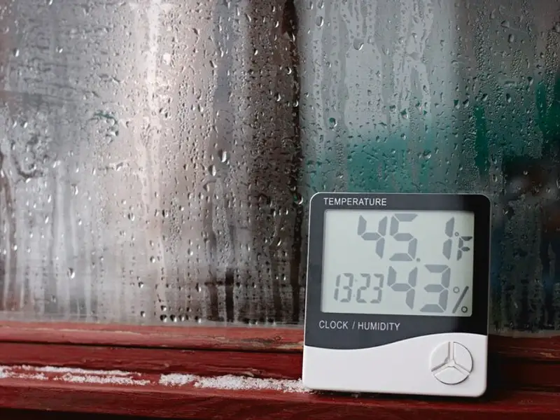 Soluții utile pentru a scăpa rapid de umiditatea ridicată din casă