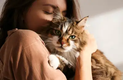 Why We Love Cats: The Human Fascination with These Mysterious Felines