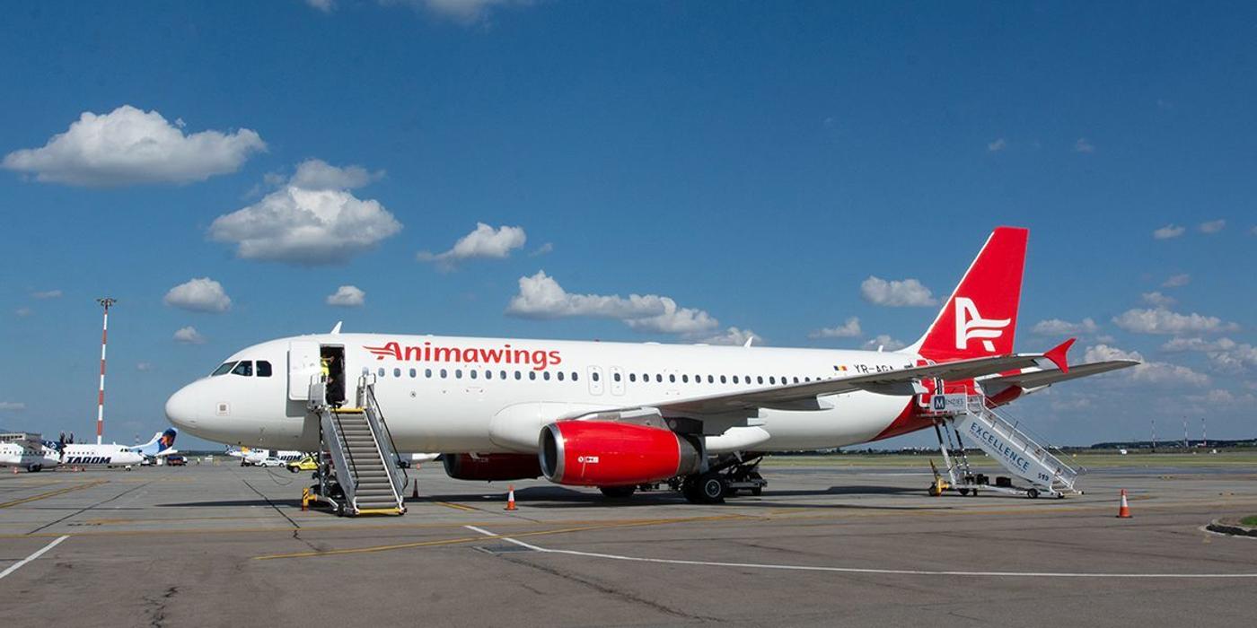 Agenţia de turism Christian Tour vrea să preia integral compania aeriană Anima Wings, tranzacţie analizată de Consiliul Concurenţei