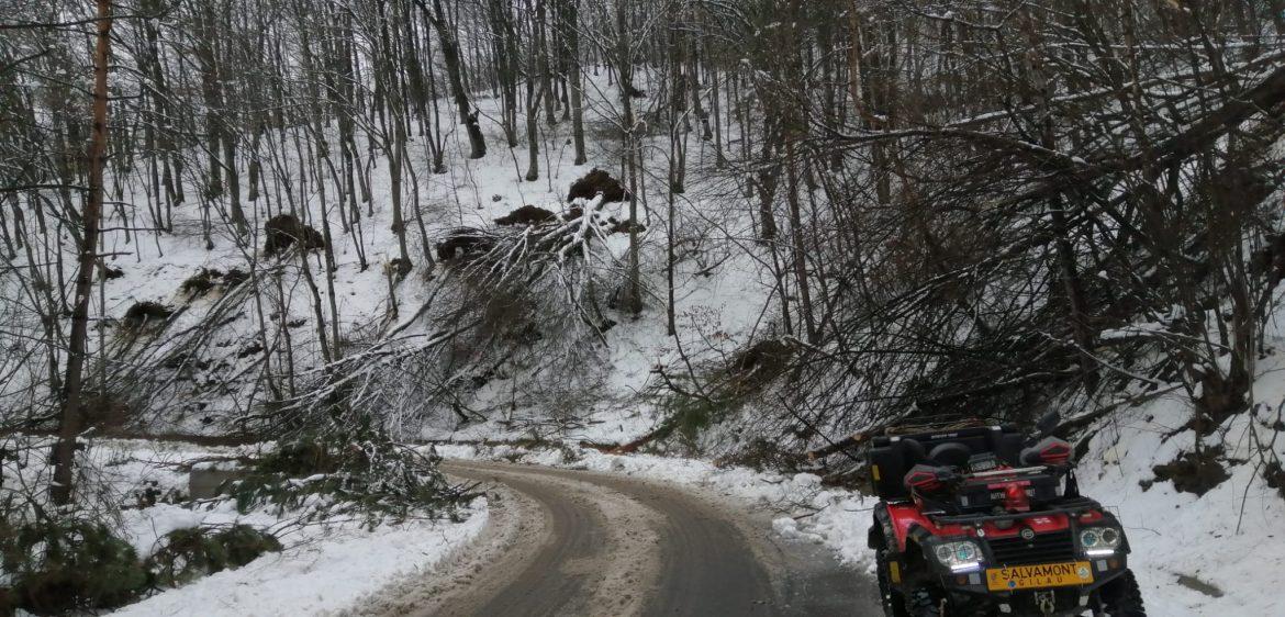 Căderile de zăpadă abundente au afectat traseele turistice din zona Lacului Tarnița