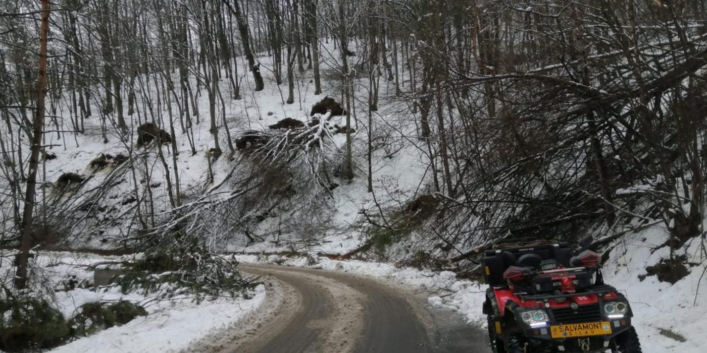 Căderile de zăpadă abundente au afectat traseele turistice din zona Lacului Tarnița
