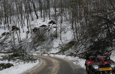 Căderile de zăpadă abundente au afectat traseele turistice din zona Lacului Tarnița
