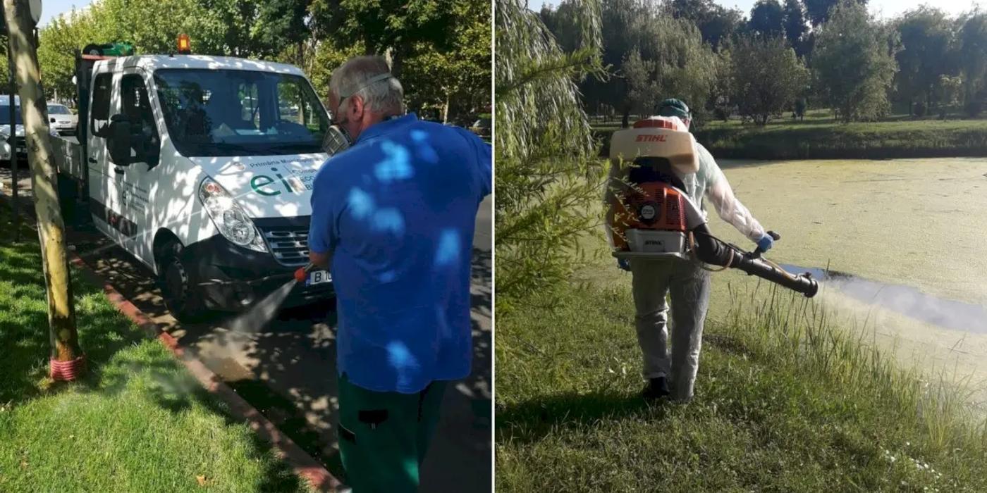 Joi, 17 august, a început al patrulea tratament de dezinsecție pentru combaterea căpușelor în București