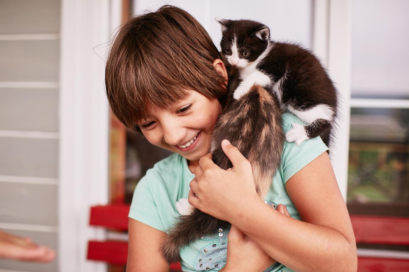 Împletești o brățară, salvezi un suflet: Atelier caritabil pentru animalele fără stăpân la Biblioteca Județeană din Cluj-Napoca