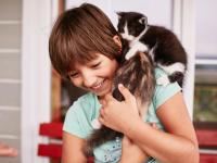 Împletești o brățară, salvezi un suflet: Atelier caritabil pentru animalele fără stăpân la Biblioteca Județeană din Cluj-Napoca