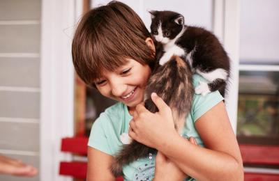 Împletești o brățară, salvezi un suflet: Atelier caritabil pentru animalele fără stăpân la Biblioteca Județeană din Cluj-Napoca