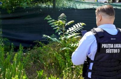 A început campania de somare a persoanelor fizice și juridice din Sectorul 5 să curețe ambrozia de pe terenurile proprii