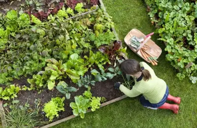 How to Transform Any Backyard Corner into a Raised Bed Garden