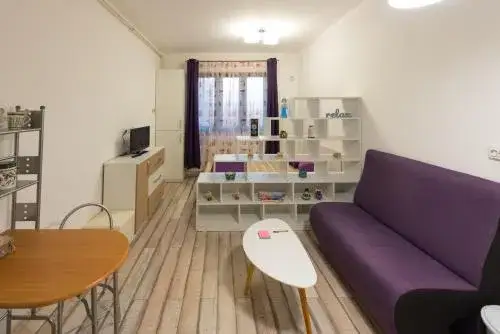 Maximizing Storage Space and Creating a More Comfortable Studio Apartment