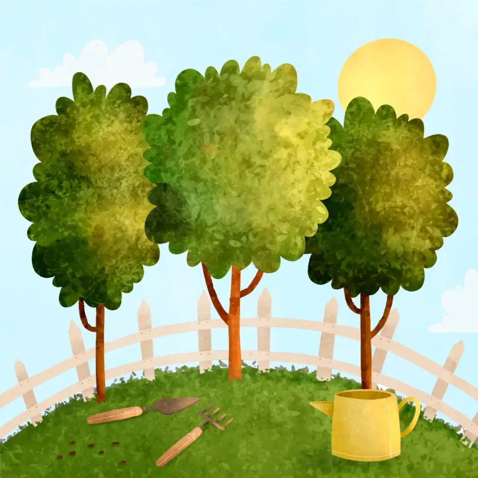 Ideal Trees for Small Gardens: Recommendations for Ornamental Trees Suitable for Limited Spaces and Offering a Distinctive Aesthetic