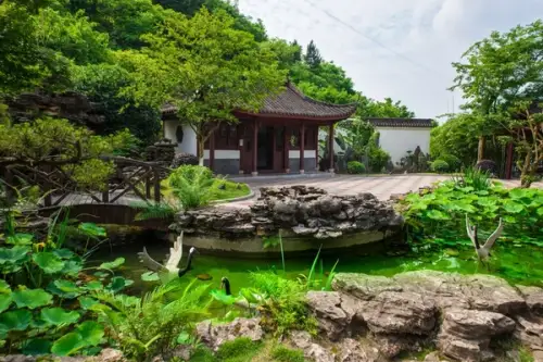 Cum alegi florile și arborii pentru grădina ta când vrei să obții un design zen