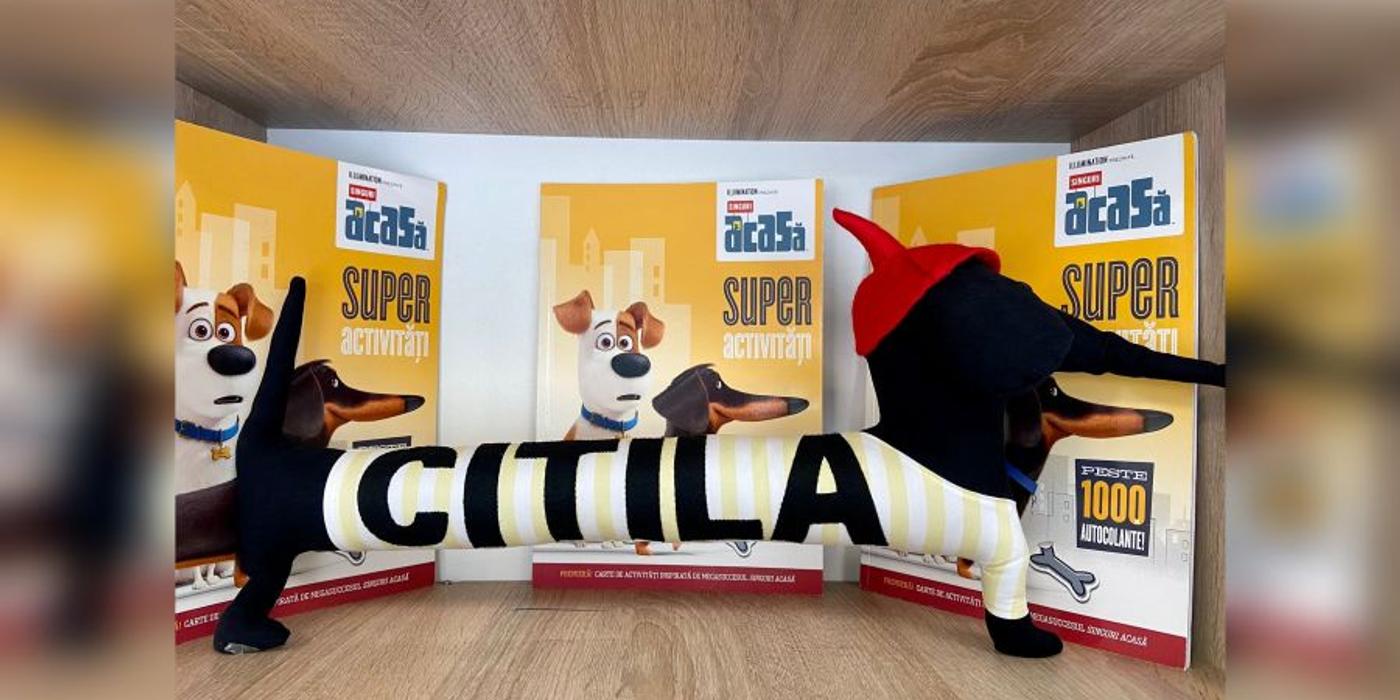 De ce ar trebui să alegi cărți cu activități pentru copii