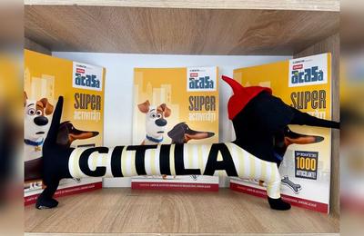 De ce ar trebui să alegi cărți cu activități pentru copii