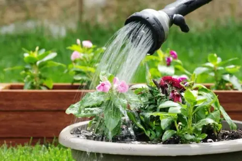 Cum sa faci un compost bun pentru gradina ta (VIDEO)